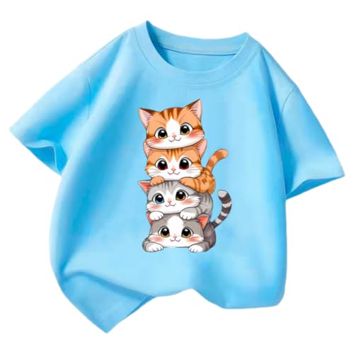 [REENEW] q TVc LbY ̎q  L  Jbg\[ tVc ĕ K[Y q xr[ gbvX ̑ 㒅 tVc 킢   JWA X|[c i   i ʉ ʊw l