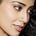 Niaspi 2Pcs CZ Flower Fake Nose Rings Stainless Steel Non Piercing Nose Rings Adjustable Clip On Nose Cuff Gold/Silver Floral Fake Nose Jewelry (Gold)
