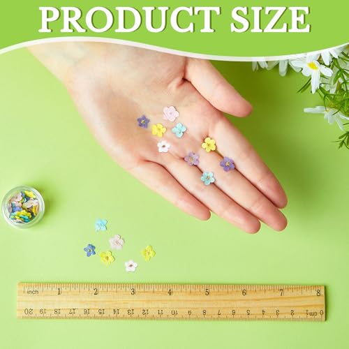 Flores secas naturales Forget Me Not para manualidades miniatura 2
