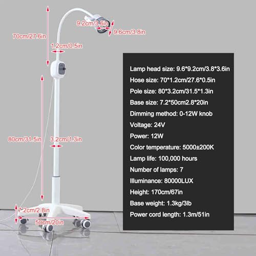 Lampe d'examen à LED 12W avec support de sol à intensité variable et base roulante - 2