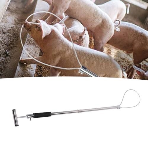Pólo de Controle Animal, Suporte Animal Ajustável de Aço Inoxidável, Ferramenta Coletora, Compriment