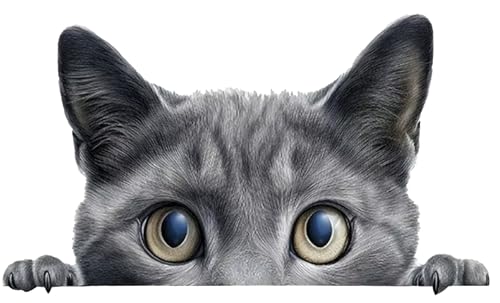 Peeping at the Grey Cat Car Decoration Stickers, 2 Packs of 5.9-inch Vinyl Waterproof Material, Suitable for pasting on Cars, Motorcycles, laptops, Bumpers, and Windows AB46