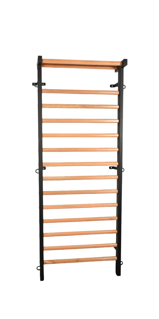 ARTIMEX espaldera Metal/Madera para Fisioterapia y Gimnasia - Utilizado en hogares, gimnasios, clínicas y centros de acondicionamiento físico - código 221-M-Negro