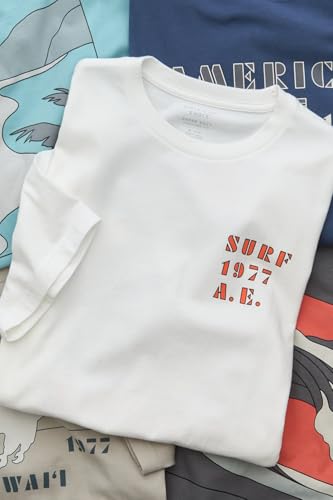 Image of American Eagle Men T-Shirt