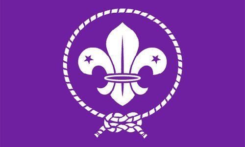 International Boy Scout Movement 3'x2' Flag