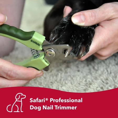 Coastal Pet Safari Professional Dog Nail Trimmer - Dog Nail Clippers for Grooming - Dog Claw Care for Small & Large Dogs - Nail Trimmer - Pet Supplies for Dog Grooming - Image 3