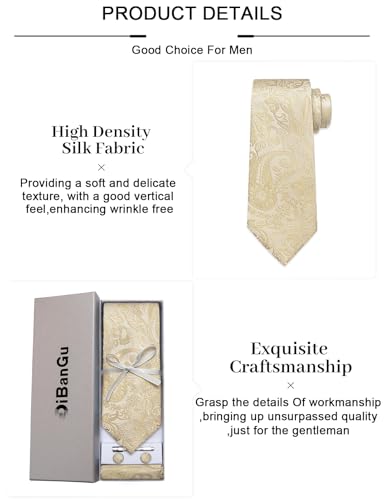 Image of DiBanGu Paisley Ties for Men Silk Necktie and Pocket Square Cufflinks Tie Clip Set Woven Classic Mens Tie for Wedding Party