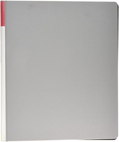 Proactive - Archivador (2-O anillas, 25 mm) color plata