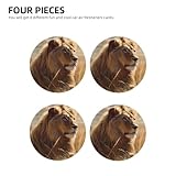 Ambientadores de coche Prairie Lion 4 piezas divertidos para...