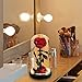 Mothers Day Flower Gifts for Mom,Beauty and The Beast Rose in Glass Dome,Preserved Real Rose with Warm Lighted,Forever Flowers Gifts for Women Grandma Mom Wife Girlfriend, Anniversary Birthday Gifts