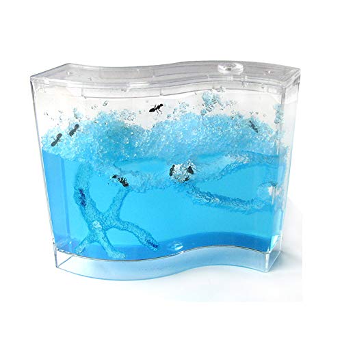 Blue Gel Ant Habitat - BESTGIFT Ant Casa Fai da Te Mini Giocattoli educativi in ​​Vaso Ant artisti Ant Works Farm Castle Experiment
