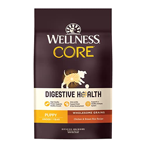 10 Best Wellness Puppy Dog Foods to Keep Your Furry Friend Healthy and ...