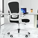 Office Chair, Ergonomic Desk Chair with Adjustable Lumbar Support, High Back Mesh Computer Chair...