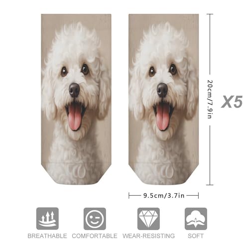 Cute Shih Tzu Ankle Socks Summer Casual Length Anti-slip Sock for Mens Womens Sports Hiking2