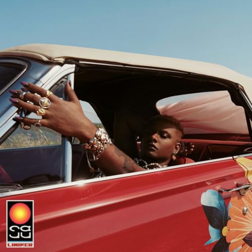 SANTO RUIDO M&uacute;sica Popular Brasileira: Brasil y su joven vanguardia cover art