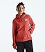 The North Face Women's Evolution Box NSE Fill Light Hoodie | 2 Piece Hood with Drawcord, Kangaroo Hand Pocket, Mars Dust, Large
