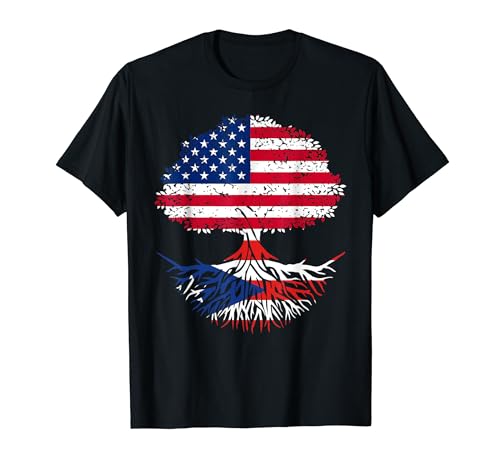American Raised With Puerto Rican Roots USA Flag Puerto Rico T-Shirt