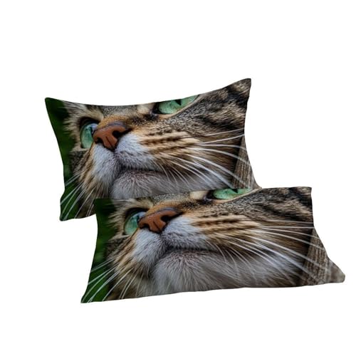 Housse de couette 260x220cm avec fermeture éclair microfibre lit enfant