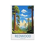 Redwood Nationalpark, Reiseliebhaber, Kalifornien, 