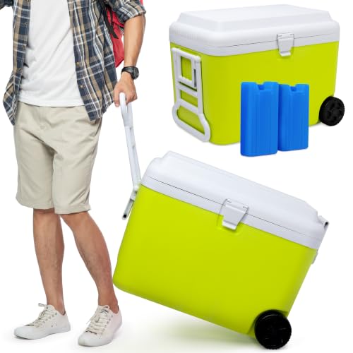 SUNMER 50L Cooler Box With 2 Ice Packs