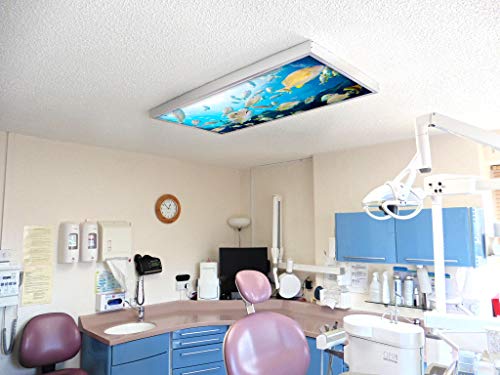 Image of Fluorescent Light Cover for Classroom Ceiling Lights - Premium Backlit Film Insert 2x4 (22.38 inchx46.5 inch) Florescent Fixture (Pack of 1) School, Office, Sensory, Improve Focus, Eliminate Headaches - Ocean
