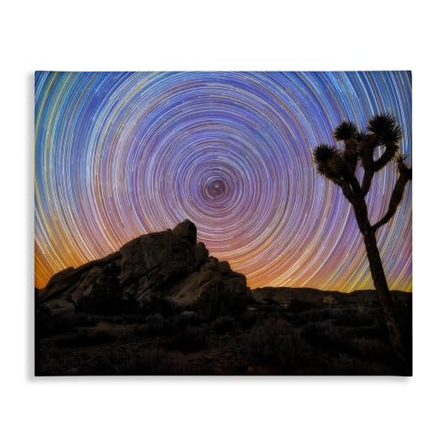 Stupell Industries Kaleidoscopic Desert Tree, 16 x 20 Inch Canvas Wall Art