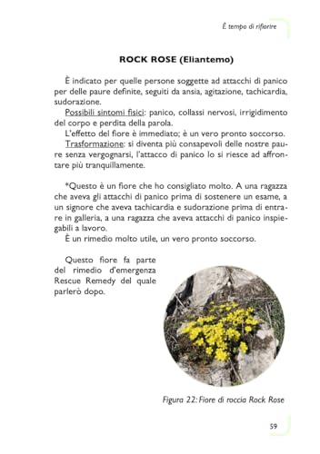 È Tempo Di Rifiorire. Guida Pratica Ai Fiori Di Bach Per Uomo E Animale - 4