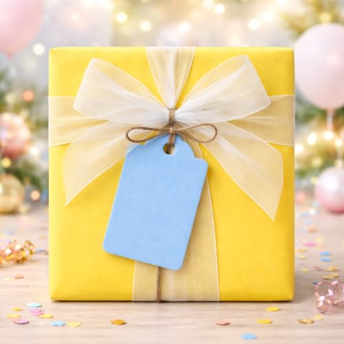 Image of CVANU 300pcs Premium Color Tag Blank Hanging with Pre-Punched Hole Tags for DIY Crafts, Gift Wrapping, Labelling & Writable Decorative Tags for All Occasions (2.85in X 1.7in) Light Blue2