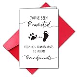 TQDaiker Funny Pregnancy Announcement Card for Grandparents, You've Been Promoted From Dog to Human,