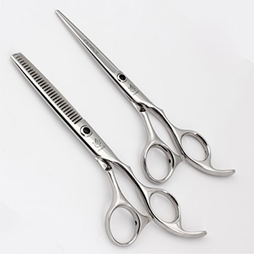 Fenice 6" Professional 10 in 1 Salon Hairdressing Scissors Cutting and Thinning Shears Set For Stylist Japan 440C