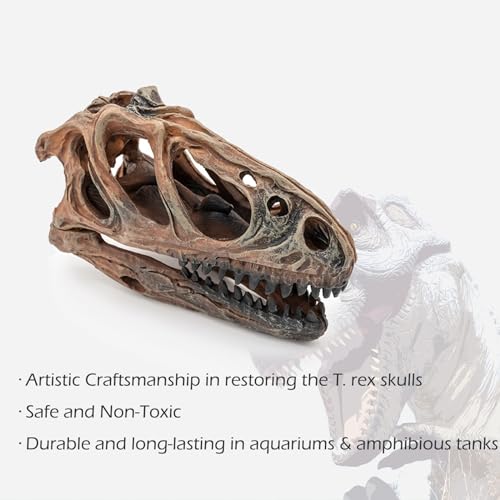 Image of Fish Hideout Aquarium Decor Decorations Dinosaur Skull Fish Tank Decor Cave Dinosaur Skull Betta Animal Halloween Large Tarantula Reptile Bones Snake for Terrarium Ornament