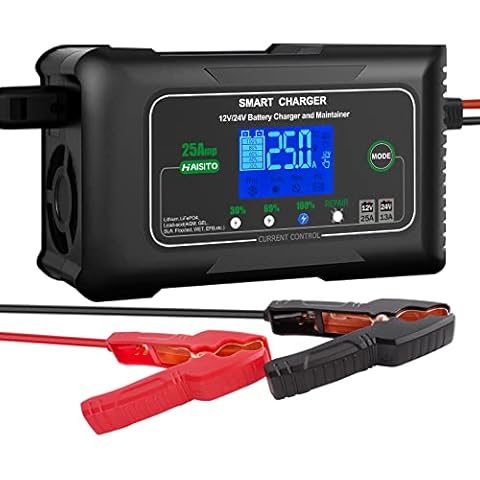 25 Amp Lithium Battery Charger, 12V and 24V Lifepo4,Lead-Acid(AGM/Gel/SLA..) Battery Charger,Battery Maintainer, Trickle Charger, and Battery Desulfator for Car,Boat,Motorcycle, Lawn Mower. Cover