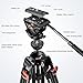 COMAN Camera Tripod, Heavy Duty Video Tripod for Camera 74