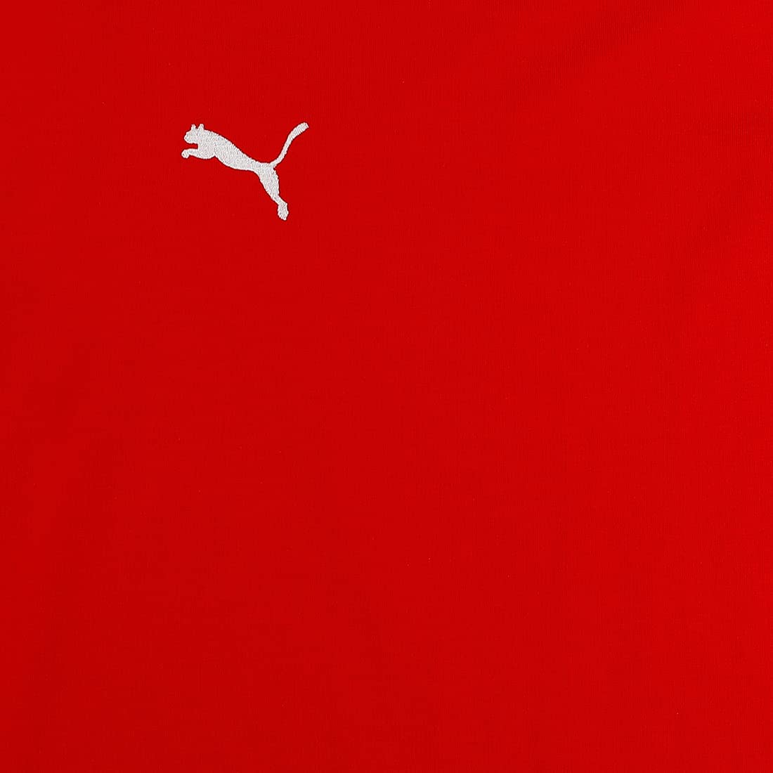 PUMA Koszulka Chłopcy Teamgoal 23 Casuals Tee Jr