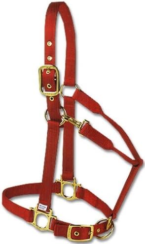Valhoma Horse Halter Brass Medium - Red