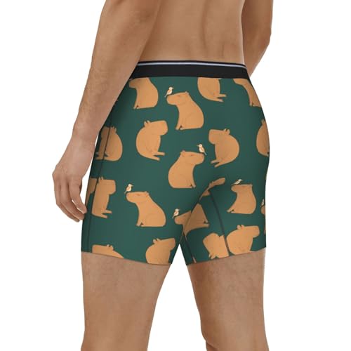 Mens Underwear - Birds Capybaras Boxer Briefs for Men Pack, Mens Boxer Briefs4