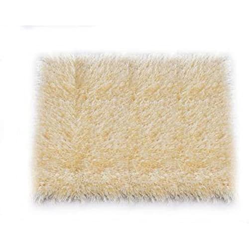 Image of Anti Skid Doormats for Home and Office Entrance Living Room and Bathroom Mats | Entrance Door Mats for Home and Office Entryway. (Solid Beige, 20x32)