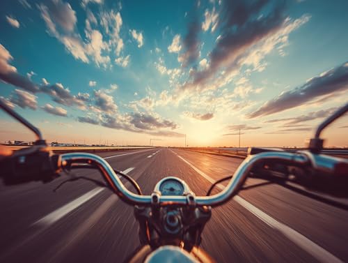 CDYCNXZ Motorcycle Rider Diamond Art Painting Kits for Adults Beginners,...