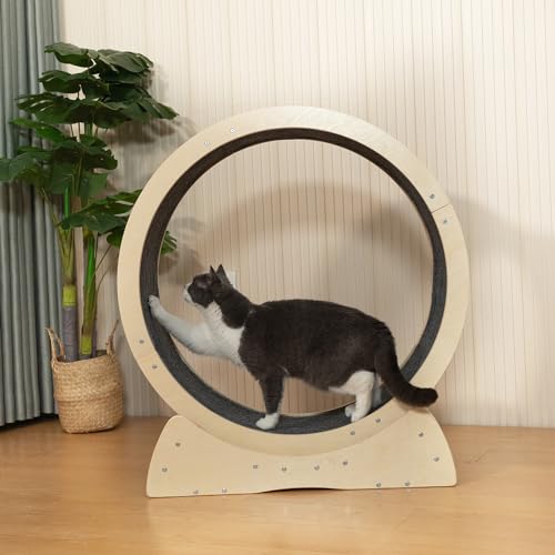 COZIVVOVV 31.5\" Large Cat Treadmill, Exercise Wheel with Locking Mechanism, Nonslip Carpet, Cat Teaser, Running Wheel for Indoor Cats Small Animals, Gray (Wood)