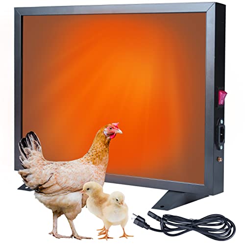 Top 10 Best chicken coop heater Picks For 2022 licorize