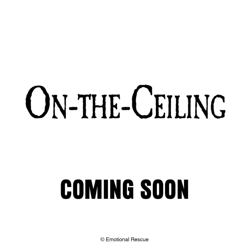 2026 CALENDAR ON THE CEILING MONTH TO VIEW SLIM WALL CALENDAR OFFICIAL PRODUCT