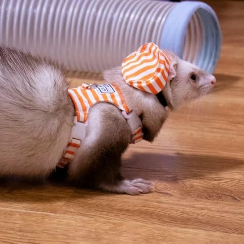 Image of Ferret Harness and Leash Adjustable Soft Cotton Small Pet Harness with Safe Bell, No Pull Comfort Padded Vest for Ferret, Guinea Pigs, Chinchilla (Orange)