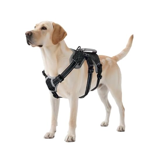 Escape Proof Dog Harness - Reflective