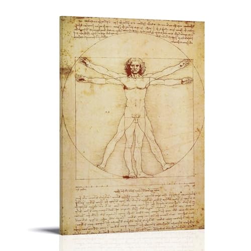 Impression sur toile représentant l'homme de Vitruve de Leonardo Da Vinci - 30 x 45 cm