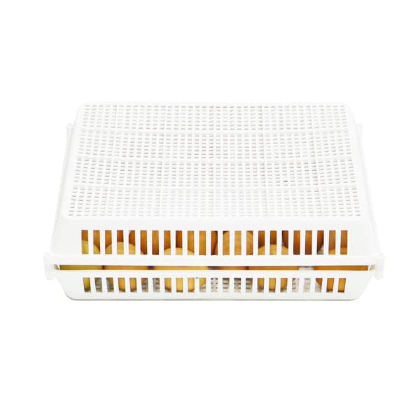 Hatching Time CT Series Incubators - Divided Chicken Egg Hatching Basket, Durable ABS Plastic, Easy to Clean