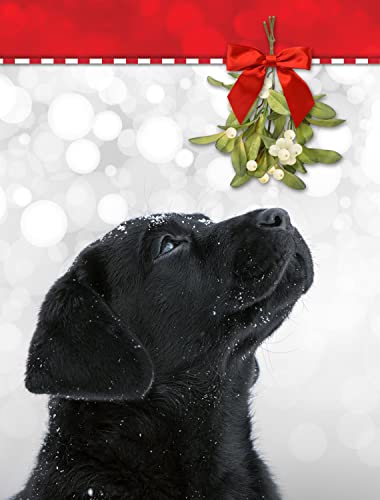 Team Husar Mistletoe Pup Black Labrador Puppy Dog Christmas Premium Holiday 15 Cards, 16 White Envelopes