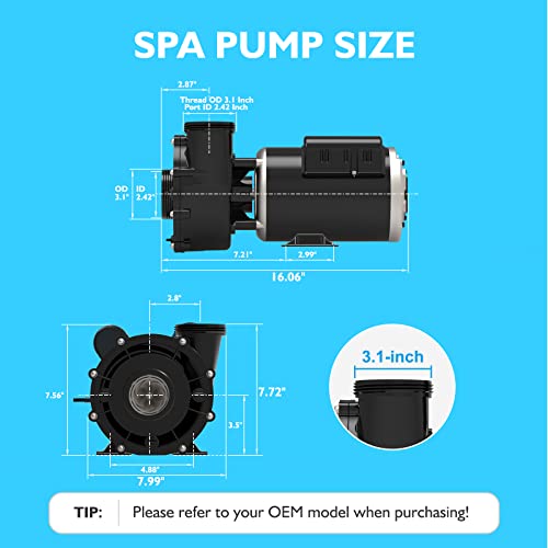 Image of Single Speed Hot Tub SPA Pumps - LX SPA Pump Motor 2.5HP, (115V or 230V) /60HZ, 2 inch Port, 48 Frame High Performance SPA Pump - (Model: 48WUA1653C-I)