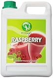 Possmei Flavored Syrup,  Raspberry, 5.5 Pound