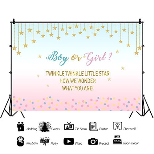 Renaiss 10x7ft Twinkle Twinkle Little Star Baby Shower Photography Backdrop Baby Boy Girl Gender Reveal Background Baby