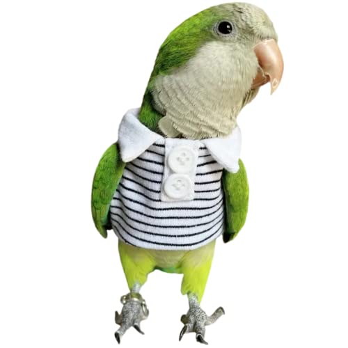 Bird Diaper Flight Suit Summer Clothes Cosplay Photo Prop for Parrots Lovebird Parakeet Cockatiel Small Animals Apparel (With Diaper, African Grey)